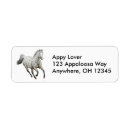 Recherche de appaloosa Appétit