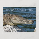 Recherche de de crocodile cartes postales Dents