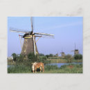 Recherche de kinderdijk cartes postales Néerlandais