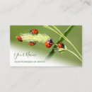 Recherche de coccinelles cartes visite Customer