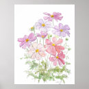 Recherche de cosmos posters Aquarelle