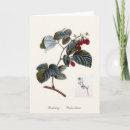 Recherche de framboise vœux cartes Botanique