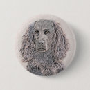 Recherche de de caniche standard badges Dog