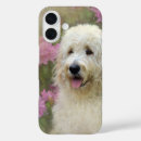 Recherche de goldendoodle iphone coques Doré