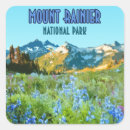Recherche de le mont rainier Randonnée