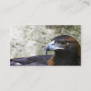 Recherche de aigles cartes visite Animal