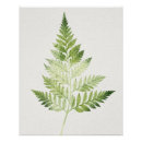 Recherche de fougères posters Plante