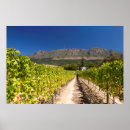 Recherche de vignoble posters Ville
