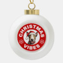 Recherche de noël de terrier Vacances