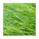 Recherche de herbe carreaux Champ