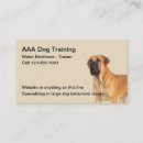 Recherche de mini mastiff Animal familier