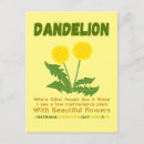 Recherche de mauvaises herbes cartes postales Mauvaise herbe