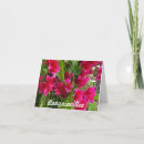 Recherche de bouganvillée Fleurs