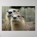 Recherche de otter posters Nature