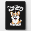 Recherche de chemise plaques Loup