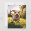Recherche de running vœux cartes Dog