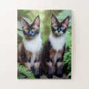 Recherche de siamese cat puzzles Animal