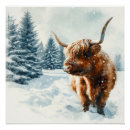 Recherche de highland cow posters Vache à haute altitude