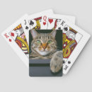 Recherche de tête animale jeux de cartes Animaux domestiques