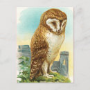 Recherche de hibou vintage cartes postales Éphémère
