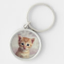 Recherche de chat gingembre porteclés Chaton