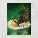 Recherche de avocats cartes postales Chat