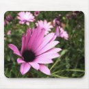 Recherche de pétale rose tapis souris Jardin