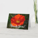 Recherche de coquelicot vœux cartes Fleur sauvage