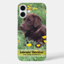 Recherche de la californie iphone coques Photographie