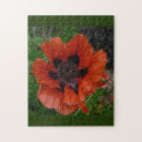 Recherche de oriental puzzles Nature