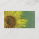 Recherche de de tournesol cartes visite Photographie