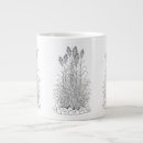 Recherche de roseaux tasses Plante