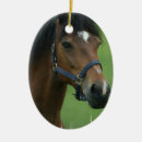 Recherche de cheval arabe ornements Équestre