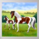 Recherche de poulain posters Chevaux