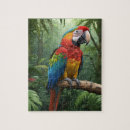 Recherche de parrot puzzles Jungle