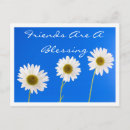 Recherche de marguerites blanches cartes postales Pour elle