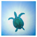 Recherche de tortue carreaux Reptiles