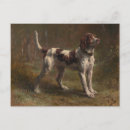 Recherche de rosaries cartes postales Animaux