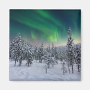 Recherche de glace magnets Forêt