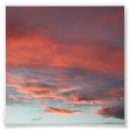 Recherche de 4x4 posters Rose