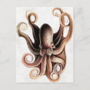Recherche de kraken cartes postales Céphalopode
