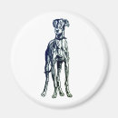 Recherche de whippets magnets Greyhound