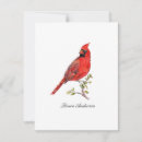Recherche de oiseau cardinal Aquarelle