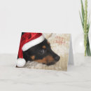 Recherche de chiot teckel vœux cartes Joyeux