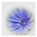 Recherche de pourpre et bleu posters Violet