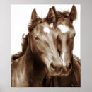 Recherche de photographies occidentales posters Cheval