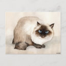 Recherche de chat original cartes postales Chaton