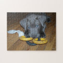 Recherche de chiot labrador puzzles Amoureux des chiens