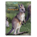 Recherche de kangourous carnets Animaux