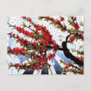 Recherche de framboise cartes postales Plante